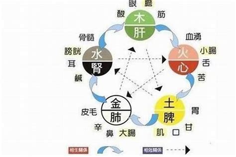 五行缺水缺金